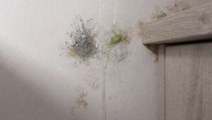 Pleśń za szafką kuchenną po zimie, której nie widać gołym okiem: sanepid wskazuje 3 miejsca do kontroli