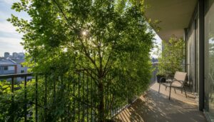 To drzewo rośnie 2 metry rocznie. Szybka zasłona przed sąsiadem z balkonu